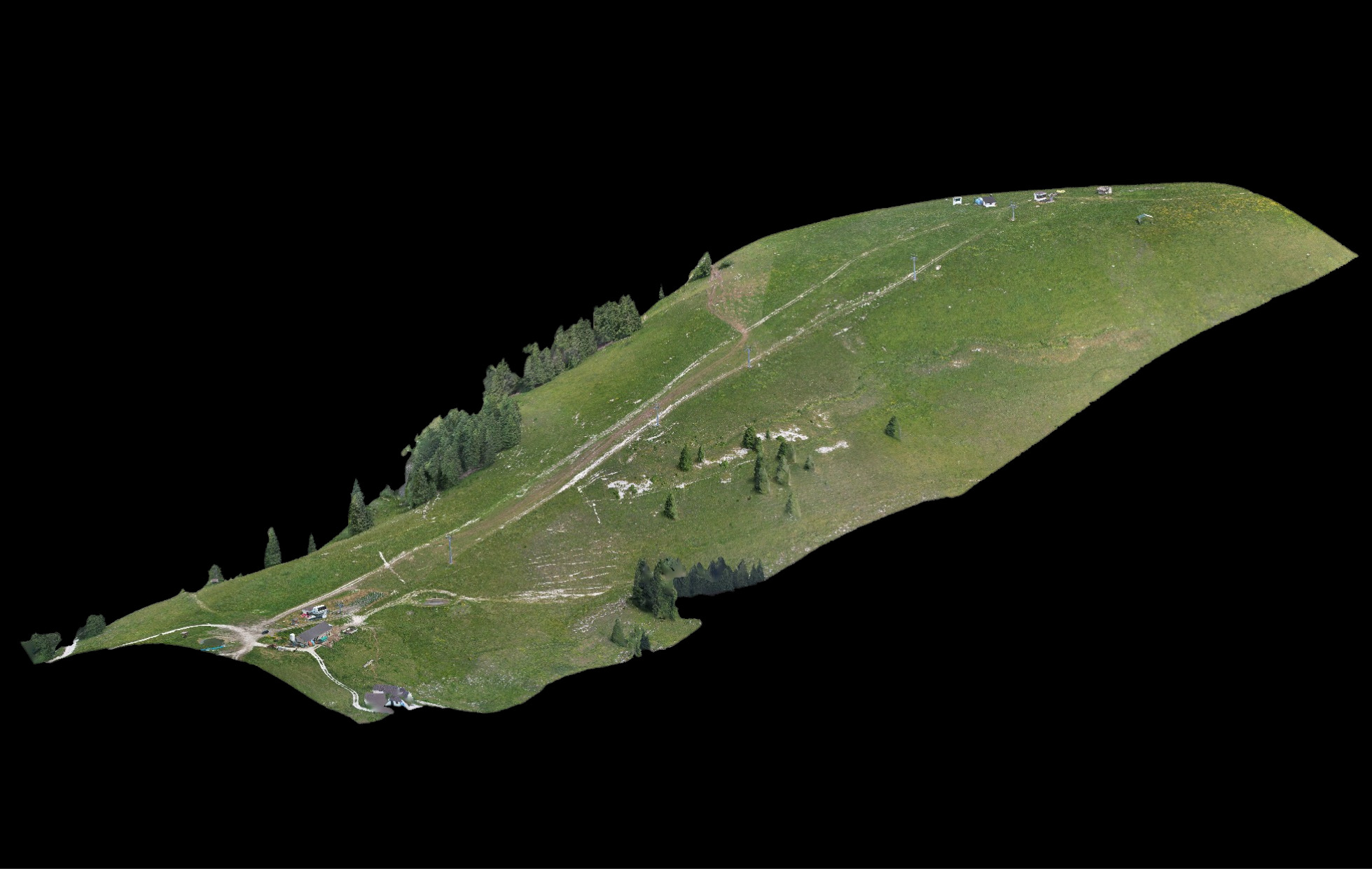 Ortomosaico di versante montano con pista da sci