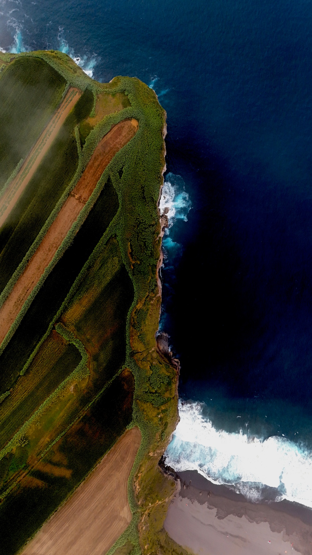 Vista zenitale di scogliera e spiaggia di sabbia nera