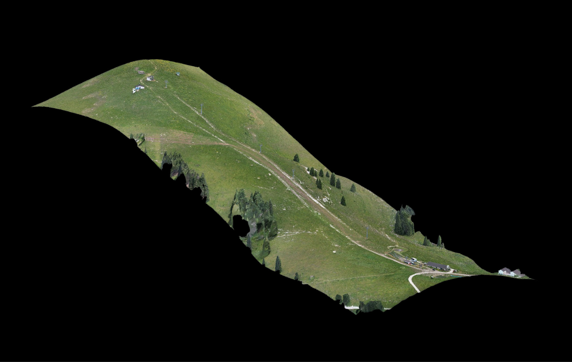 Ortomosaico di versante montano - vista alternativa